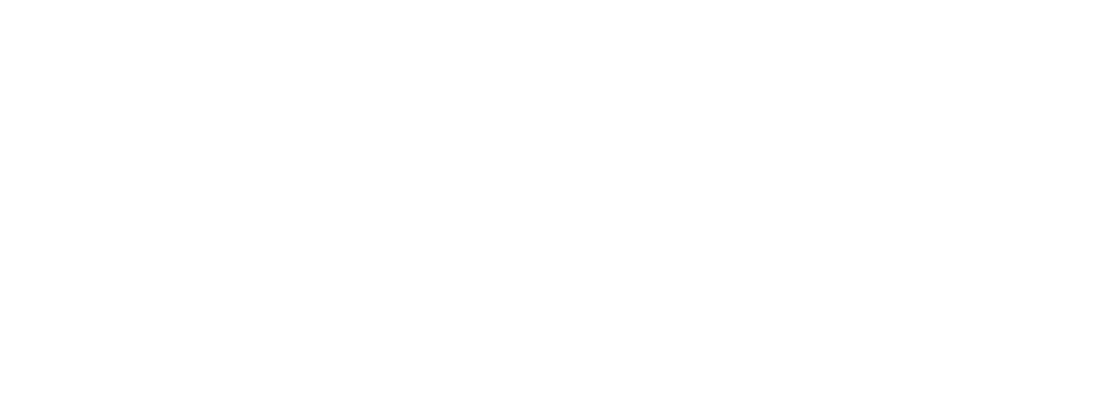 Business Basics